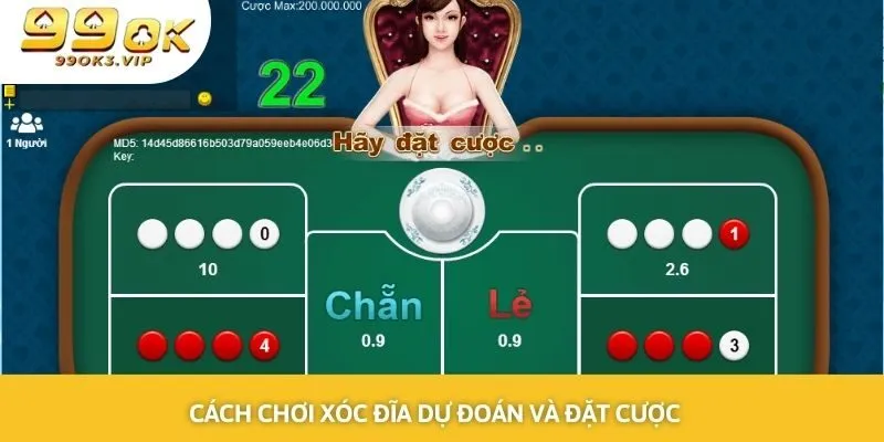 Cách chơi xóc đĩa 99OK đưa ra dự đoán và đặt tiền cược